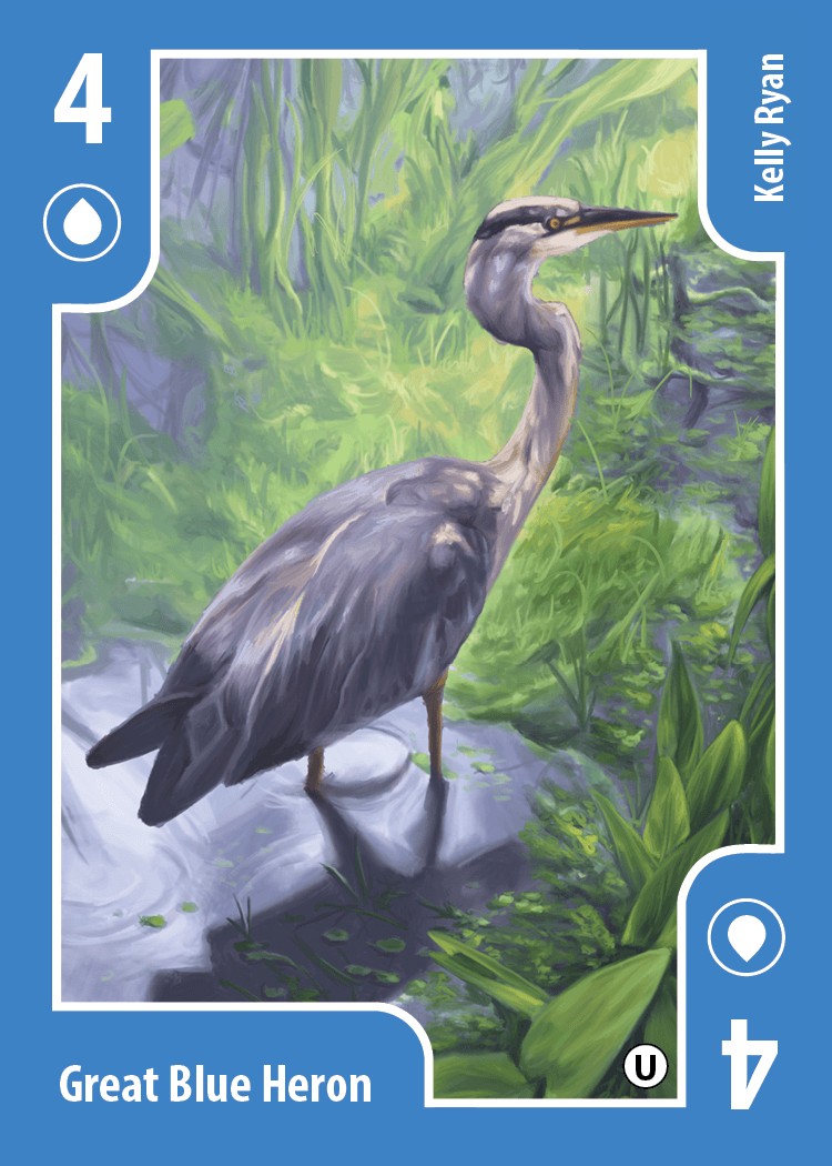 Great Blue Heron card