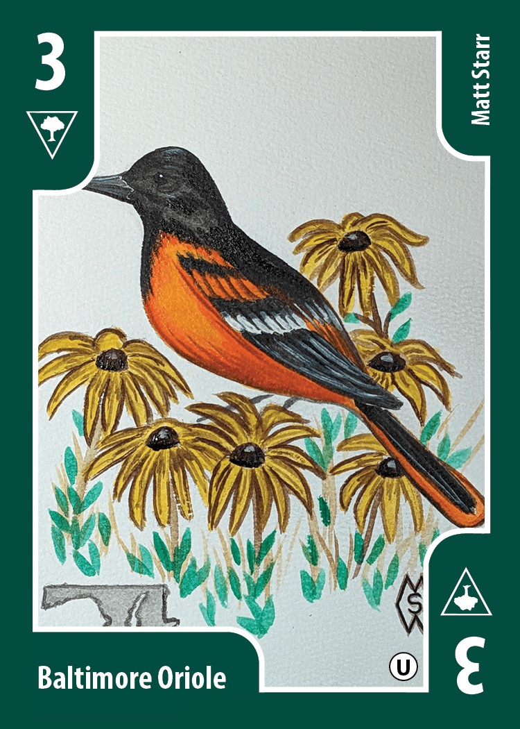 Baltimore Oriole card