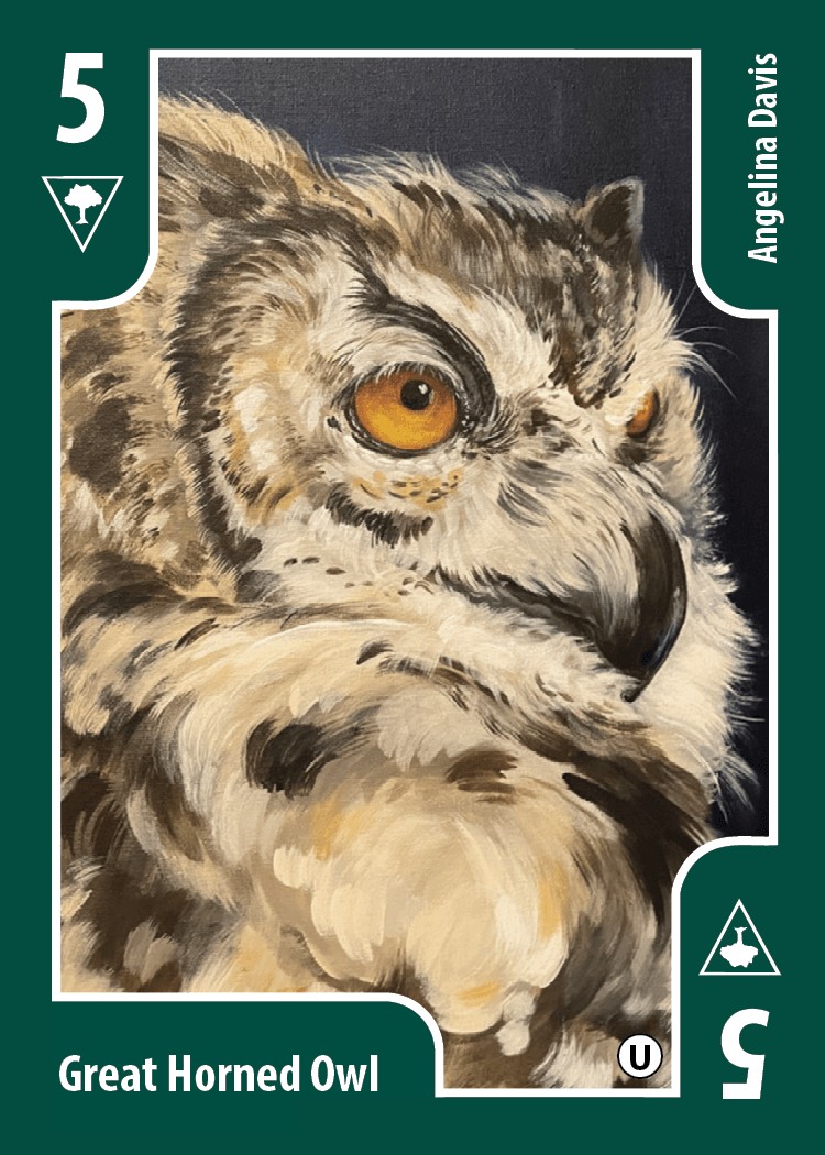 Great Horned Owl card